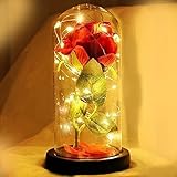 SAFRI red silk Rose LED light girlfriend mum wife valentine's...
