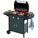 CAMPINGAZ 2 Series Classic EXS Vario Gas Barbecue with 2 Burners,...