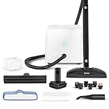 Dupray Neat Steam Cleaner with 17-Piece Accessory Kit –...