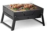 KEPLIN Portable Tabletop Charcoal Barbecue, Stainless Steel...