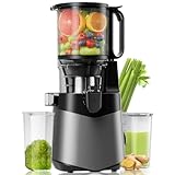Cold Press Juicer Machines, 350W Masticating Juicer with...