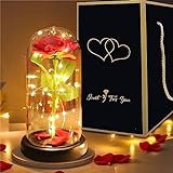 Beauty and the Beast Rose Kit Red Silk Rose LED Light for...