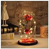 TEAMO Beauty And The Beast Rose,Glass Rose Forever Rose In Glass...