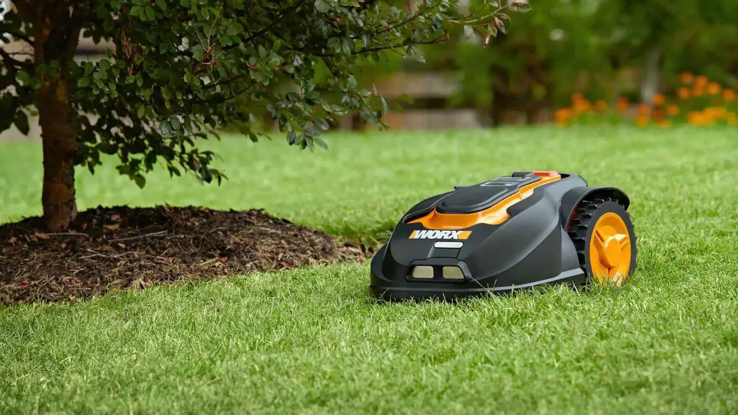 Best Robot Lawn Mower You Must Buy This Summer!