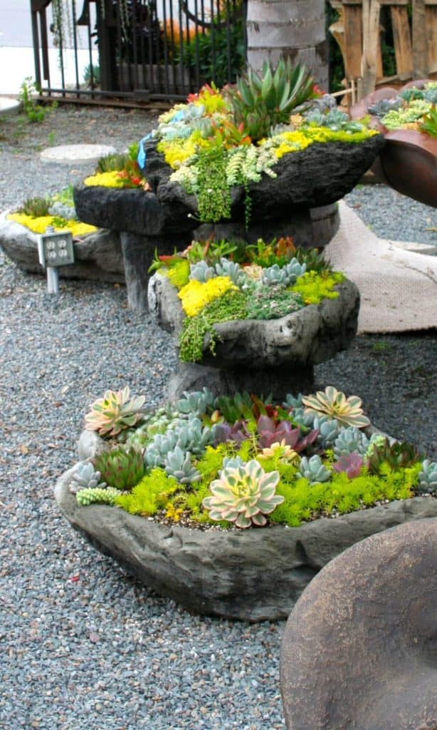 creative front garden ideas