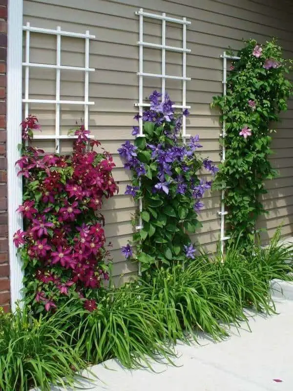 creative front garden ideas