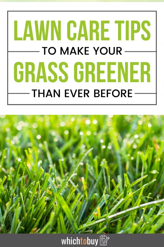 Top 18 Lawn Care Tips to Make Your Grass Greener | Which to buy?