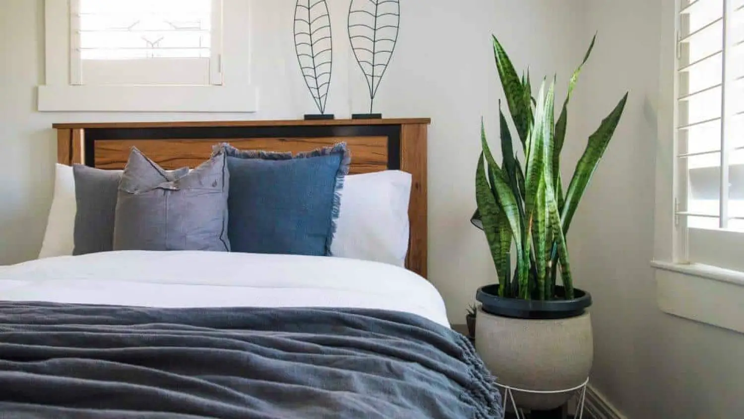 Top 5 Sleep Enhancing Bedroom Plants that Will Change Your Life