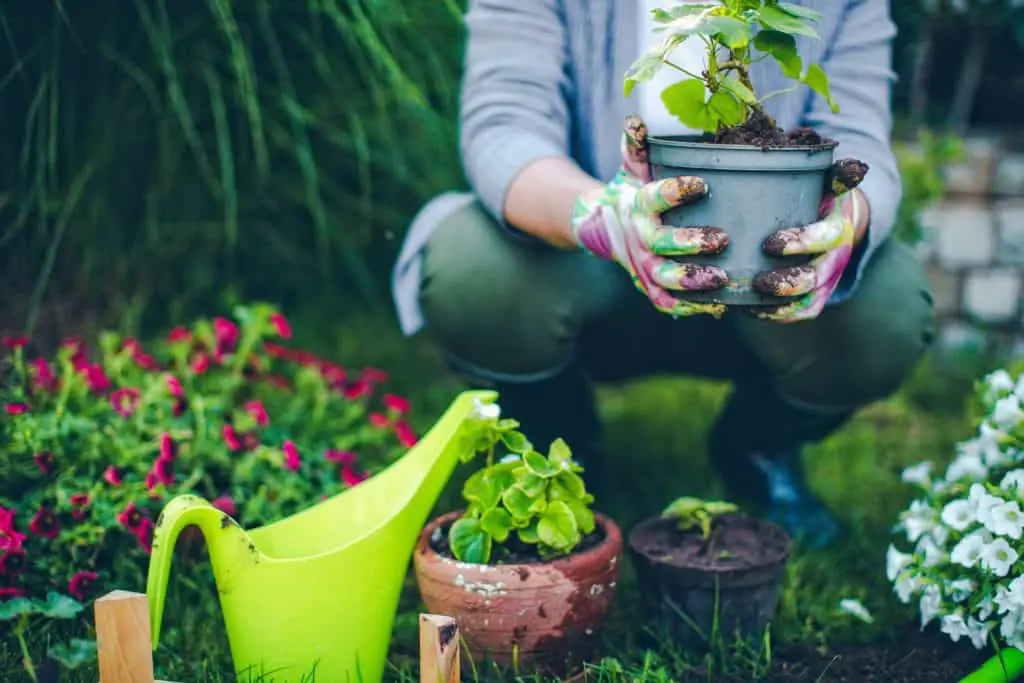 How Gardening Benefits Your Health