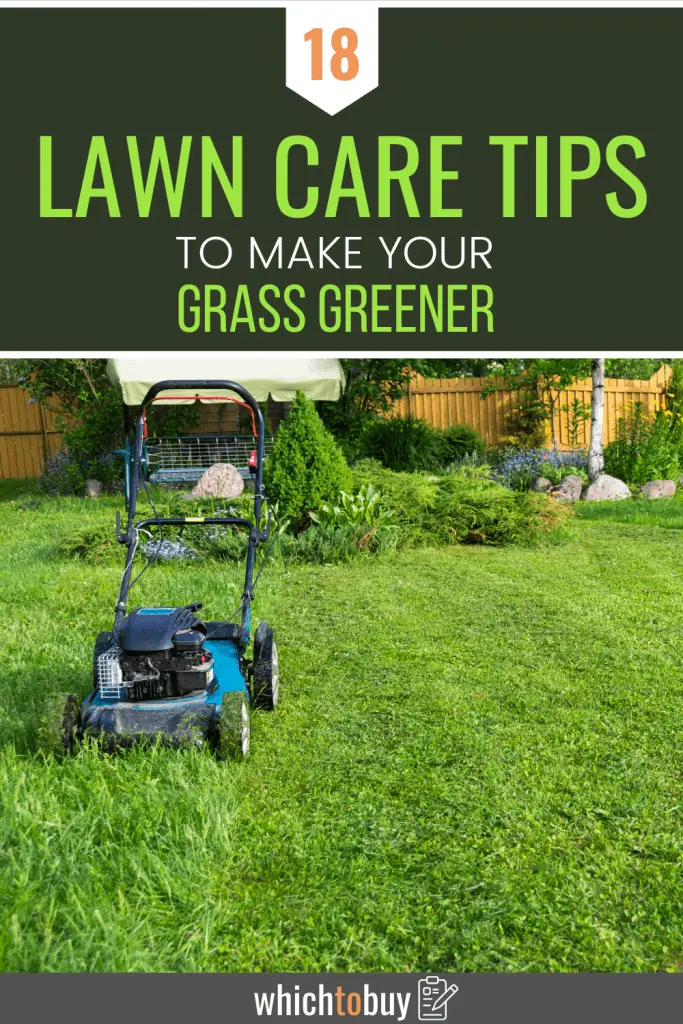 Top 18 Lawn Care Tips To Make Your Grass Greener Whichtobuy