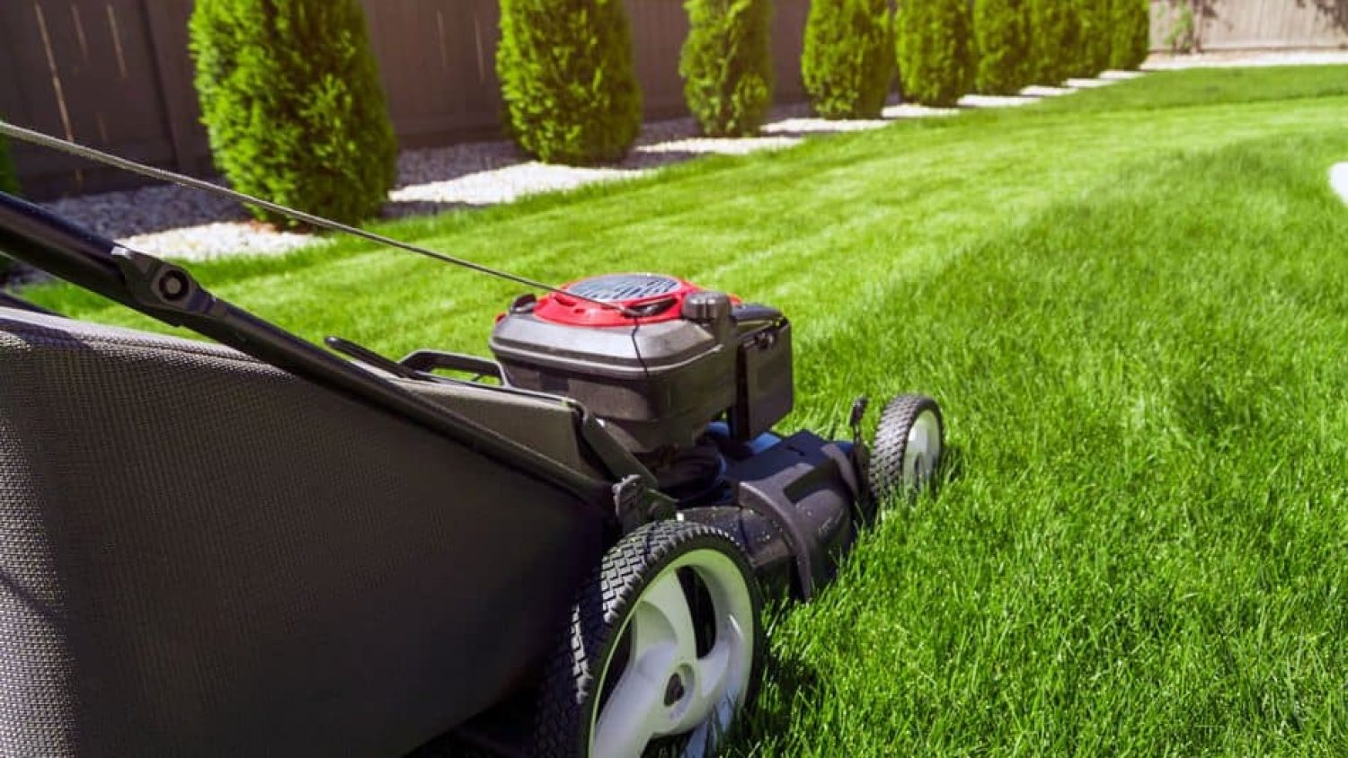 Top 18 Lawn Care Tips to Make Your Grass Greener