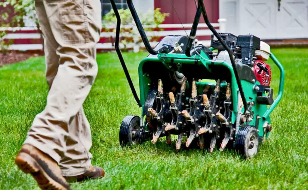 Lawn Care Tips to Make Your Grass Greener