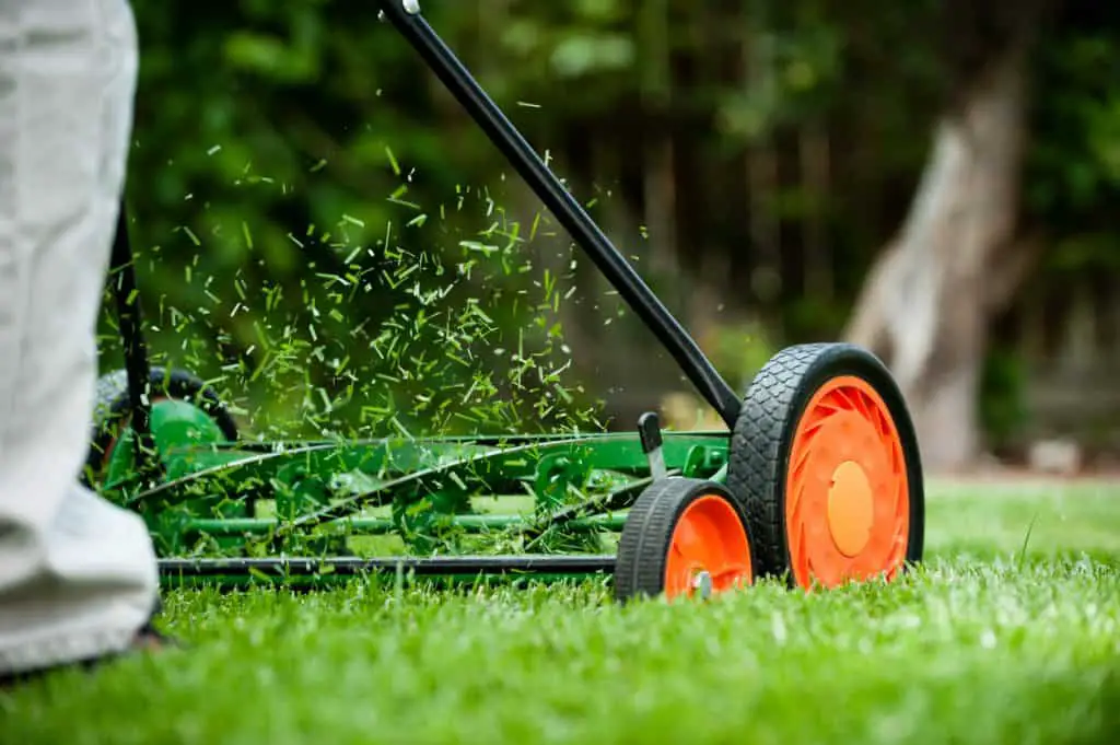 Lawn Care Tips to Make Your Grass Greener