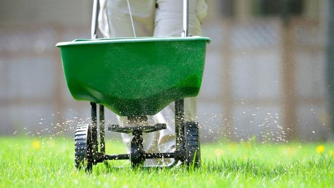 Lawn Care Tips to Make Your Grass Greener