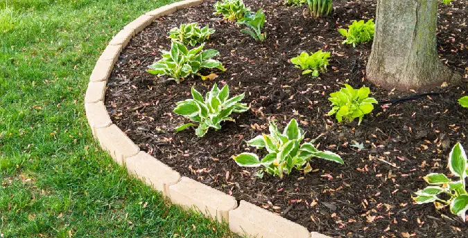 ultimate guide to mulching