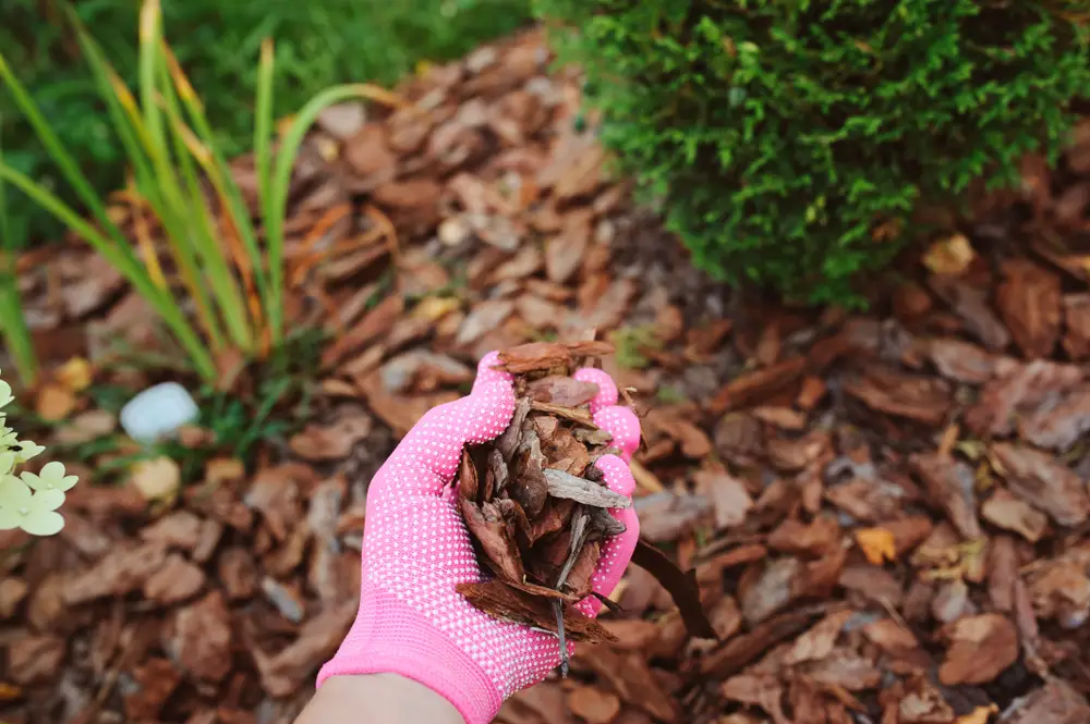 ultimate guide to mulching