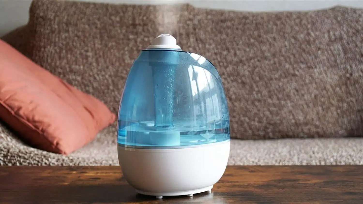 Best Humidifier Reviews: 5 Popular Models that Will Boost Your Life Quality