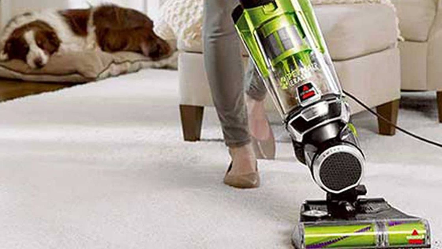 Best Vacuum Cleaner for Pet Hair: Make Your Home Pet-Hair Free With These 5 Amazing Vacuums