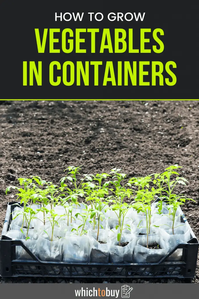 How-to-Grow-Vegetables-in-Containers