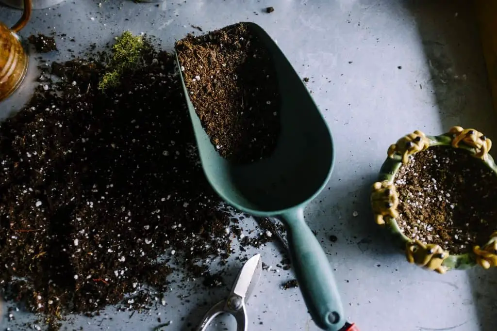 12 ways mushroom compost will improve