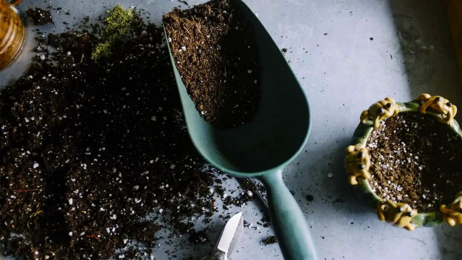 12 Ways Mushroom Compost Will Improve Your Soil