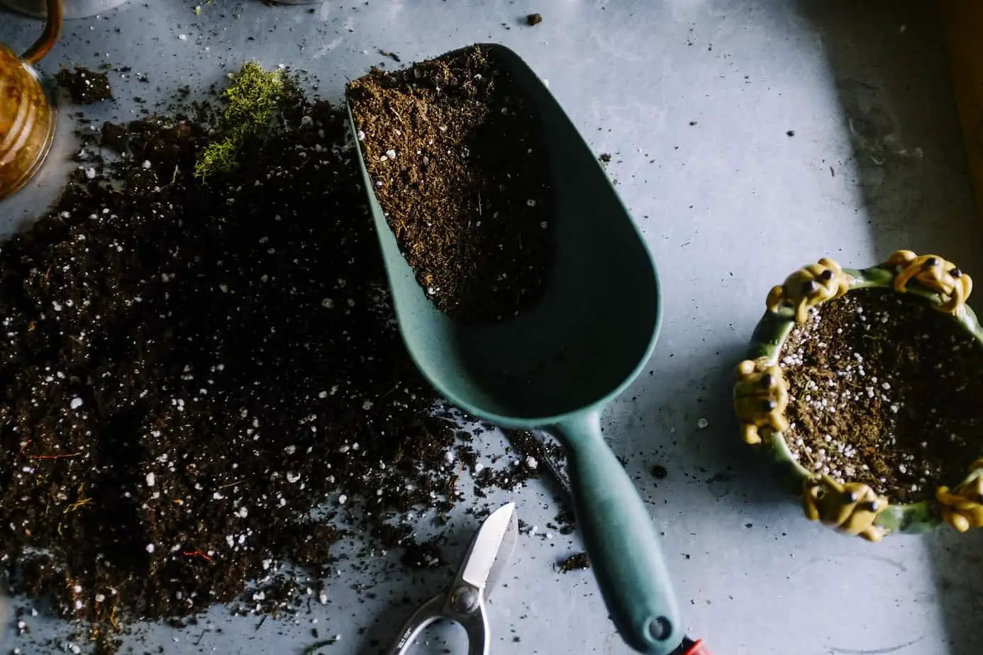 12 ways mushroom compost will improve