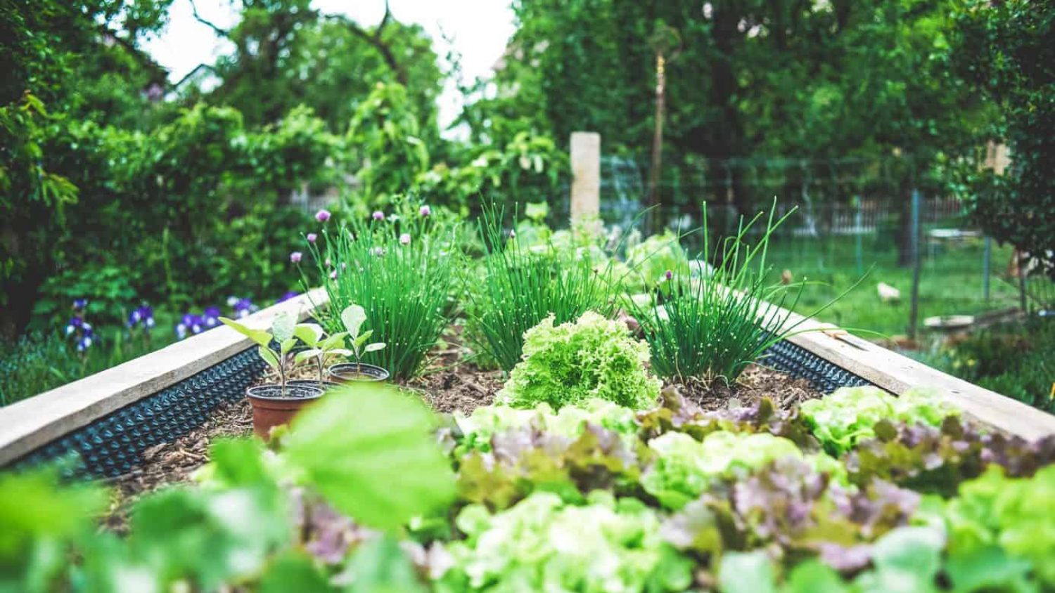 6 Fun DIY Garden Design Ideas – Make Your Space Unique On Your Own