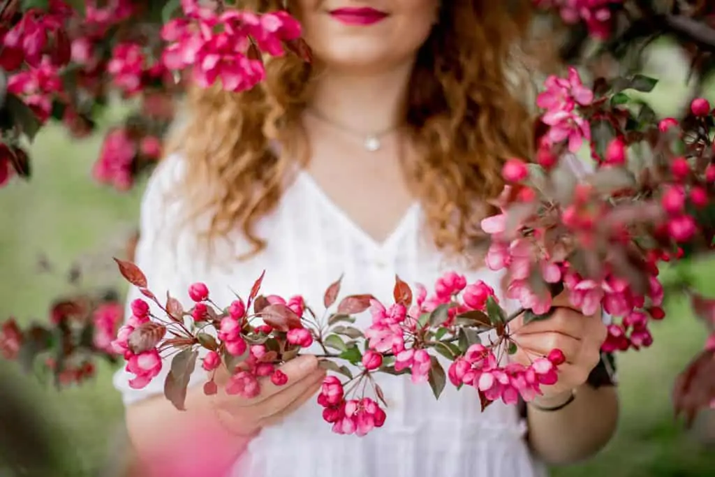 plants for a small garden