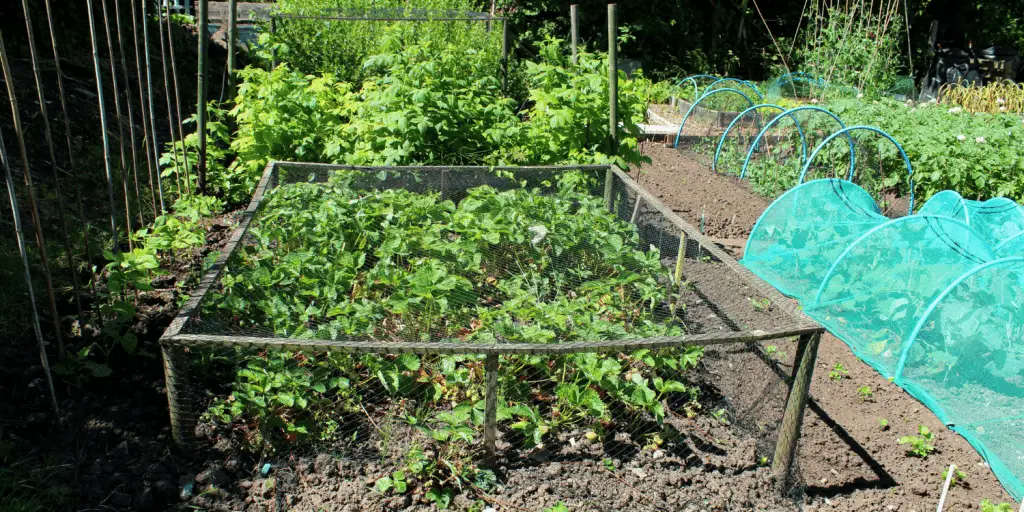 garden netting