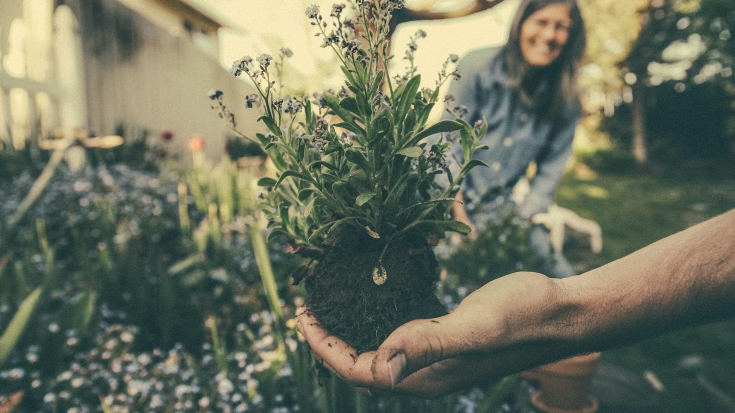 What Is Commercial Gardening? The Ultimate Guide To Starting Your Commercial Garden