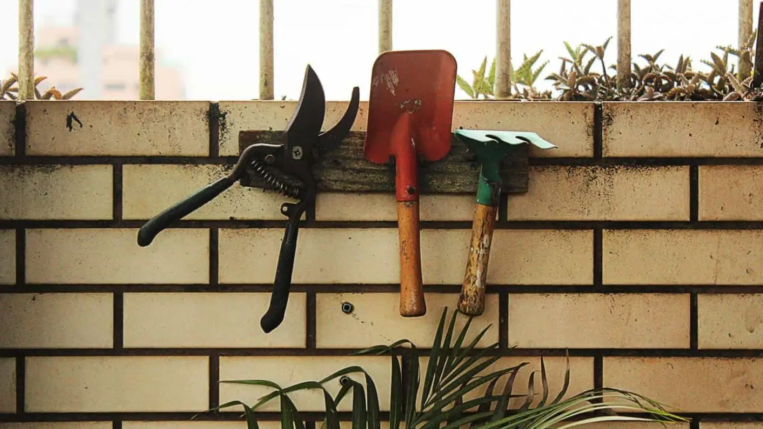Top 10 Useful Soil Digging Tools You Must Have In Your Garden