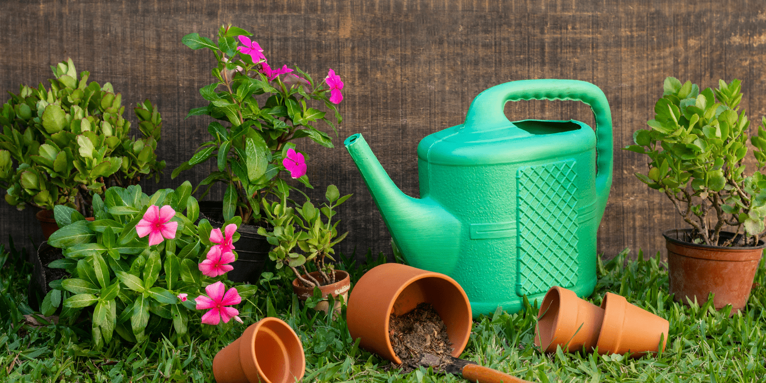 Plant Watering Tools