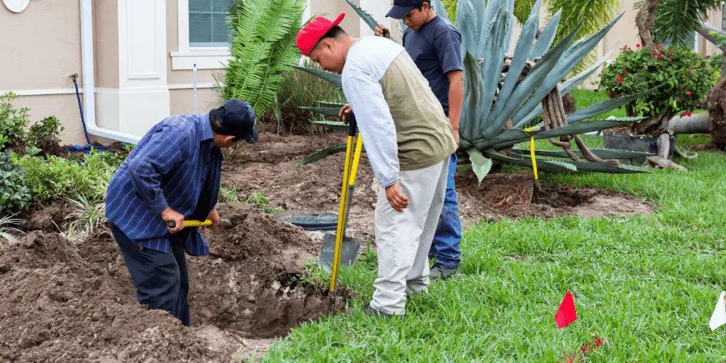 front yard cactus garden ideas