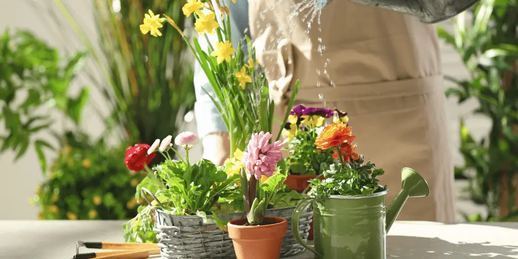 Plant Watering Tools