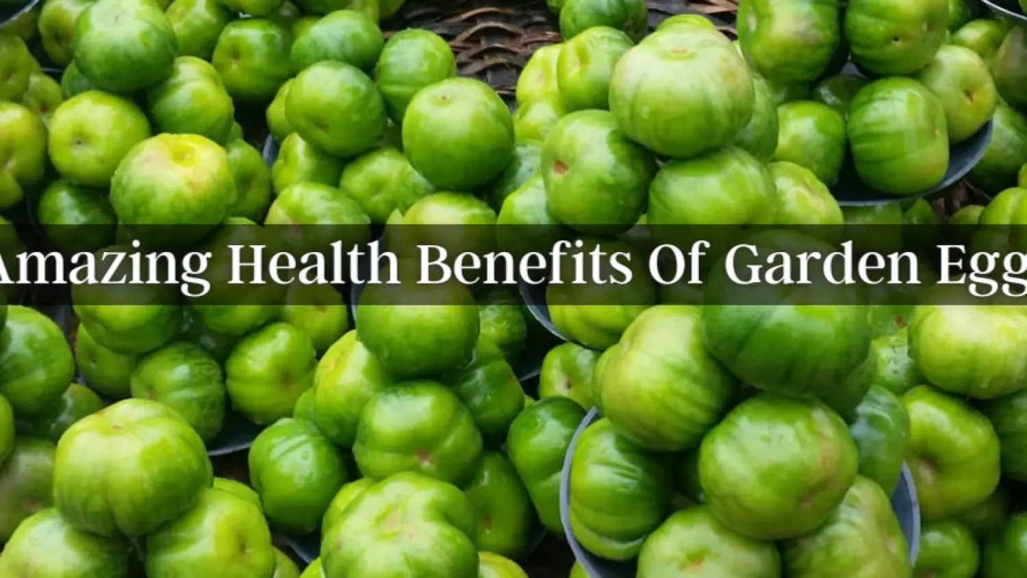 Garden Egg: 5 Amazing Health Benefits