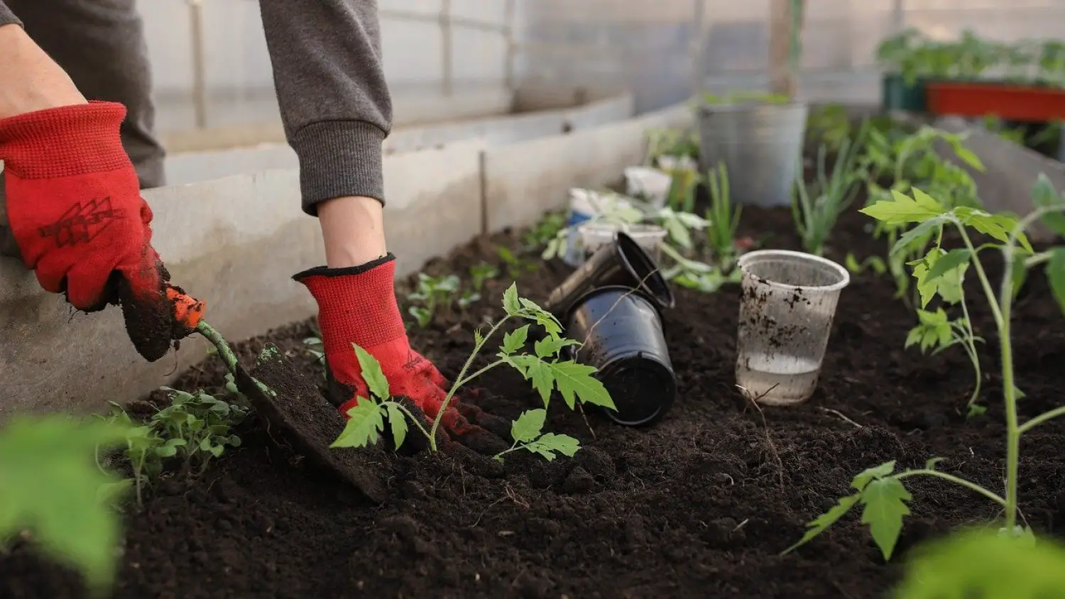 Bulk Garden Soil: Key Factors To Consider When Buying Garden Soil